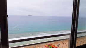 Carolina- Alquilevante